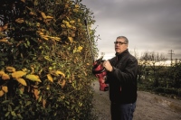 531-275 - GHT 55 18-EC Taille-haie à batterie