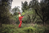 532-887 - GPS-A Élagueuse sur perche