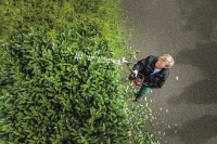 532-888 - GHT-A Heckenschere